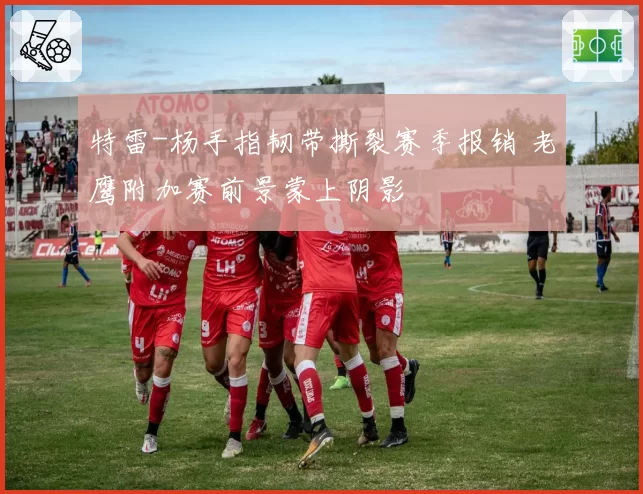 特雷-杨手指韧带撕裂赛季报销 老鹰附加赛前景蒙上阴影