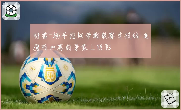 特雷-杨手指韧带撕裂赛季报销 老鹰附加赛前景蒙上阴影