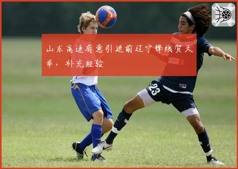 山东高速有意引进前辽宁锋线贺天举，补充经验